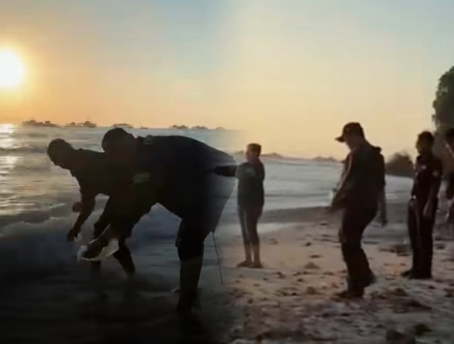Benih Lobster Hasil Tindak Pidana Perikanan Dilepasliarkan oleh Polres Garut dan KKP di Pantai Timur Pangandaran